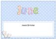 Birthday June Matching Large Dl Insert