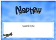 Birthday Nephew Matching Large Dl Insert