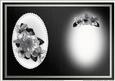Flowers & Pearls Portrait Insert
