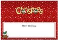 Xmas Merry Christmas Matching Large Dl Insert