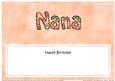 Birthday Nana Matching Large Dl Insert