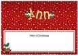 Xmas Ann Matching Large Dl Insert