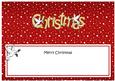 Xmas Merry Christmas Matching Large Dl Insert