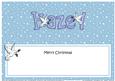 Xmas Hazel Matching Large Dl Insert