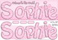 Large Dl New Baby Sophie Quick Card N 3D Decoupage