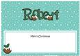 Xmas Robert Matching Large Dl Insert