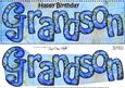 Large Dl Birthday Grandson Card & 3D Decoupage