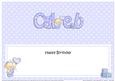 Happy Birthday Caleb Matching Large Dl Insert