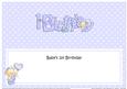 Baby's 1st Birthday Matching Large Dl Insert