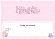Baby's 1st Birthday Matching Large Dl Insert