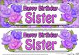 Large Dl Happy Birthday Sister Card & 3D Decoupage