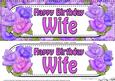 Large Dl Happy Birthday Wife Quick Card & 3D Decoupage
