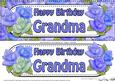 Large Dl Birthday Grandma Quick Card N 3D Decoupage