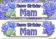 Large Dl Birthday Mam Quick Card & 3D Decoupage