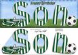 Large Dl Happy Birthday Son Card & 3D Decoupage