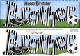 Happy Birthday Daddy Matching Large Dl Insert