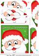 Xmas Santa Fun Novelty Fan Pyramage Topper