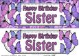 Large Dl Birthday Sister Butterflies Card & 3D Decoupage