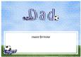 Happy Birthday Dad Football Matching Large Dl Insert
