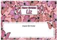 Birthday Liz Butterflies Large Dl Matching Insert
