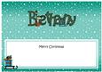 Merry Christmas Bethany Sledge Matching Large Dl Insert