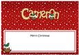 Merry Christmas Cameron Xmas Puds Matching Large Dl Insert