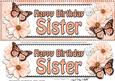 Large Dl Birthday Sister Floral Butterflies 3D Decoupage