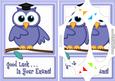 A5 Wise Owl Exam Good Luck Felties Scallop Corner N Pyramage