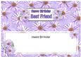 Birthday Best Friend Daisies Floral Large Dl Matching Insert
