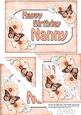 5x7 Flower & Butterfy Birthday Nanny Scallop Corner