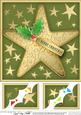 8 x 8 Xmas Star Scalloped Corner Topper