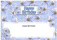 Birthday Daisies Floral Large Dl Matching Insert