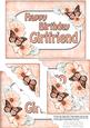 5x7 Flowers & Butterflies Birthday Girlfriend
