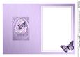 Butterfly & Pastel Flowers Fancy Arch Shaped Matching Insert