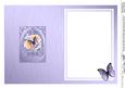 Roses & Butterfly Fancy Arch Shaped Matching Insert
