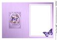 Butterfly & Daisies Fancy Arch Shaped Matching Insert