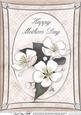 A4 Apple Blossom - Mothers Day
