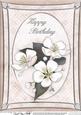 A4 Apple Blossom - Birthday