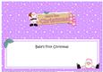 Babys 1st Christmas Santa Signpost Large Dl Matching Insert