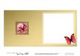 Butterfly Rose Round Edged Shaped Matching Insert