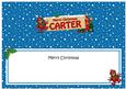 Xmas Carter Robins Signpost Large Dl Matching Insert