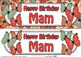 Large Dl Birthday Mam Butterflies Card & 3D Decoupage