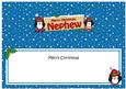 Xmas Nephew Penguins Signpost Large Dl Matching Insert