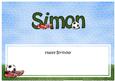 Birthday Simon Football Large Dl Matching Insert
