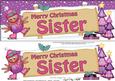 Xmas Sister Robin Signpost Large Dl Easicut 3D Decoupage
