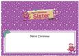 Xmas Sister Robin Signpost Large Dl Matching Insert