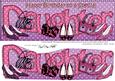 Large Dl Birthday Special Daughter Shoes Handbags Decoupage