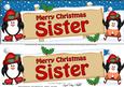 Xmas Sister Penguins Signpost Lge Dl Easicut Decoupage