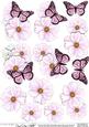 Pretty Butterfly & Flower 3D Decoupage Designs