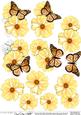 Pretty Butterfly & Flower 3D Decoupage Designs